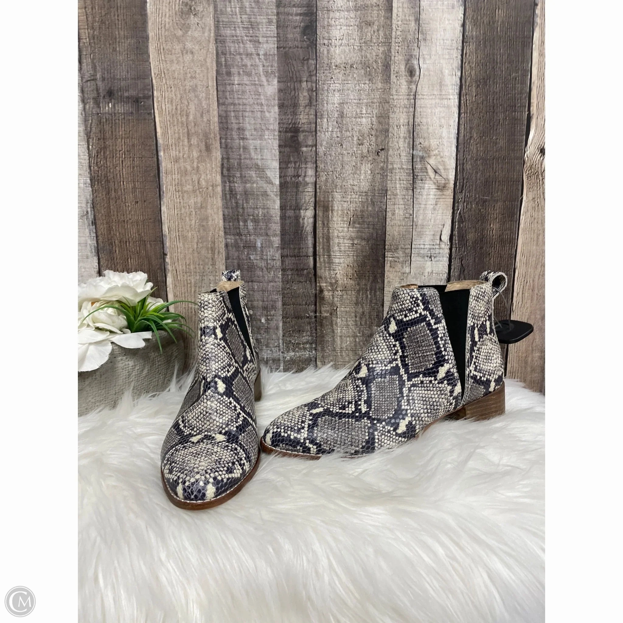 Boots Ankle Flats By Madewell In Snakeskin Print, Size: 7 Urban Ready