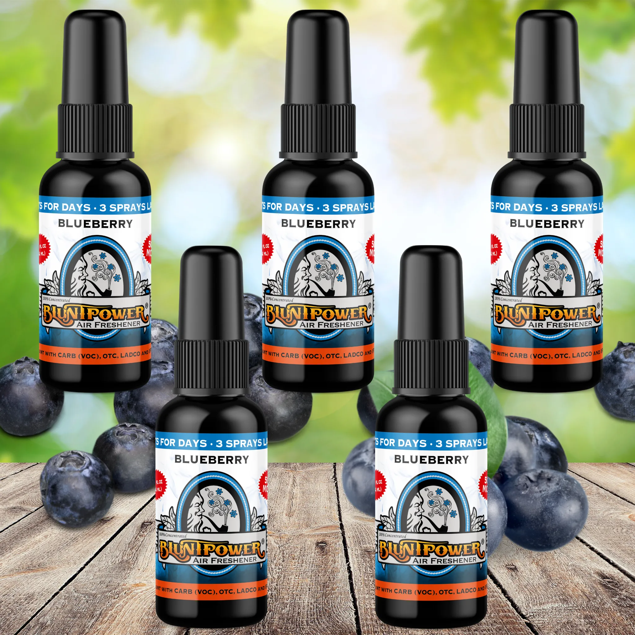 Blueberry Air Freshener Spray