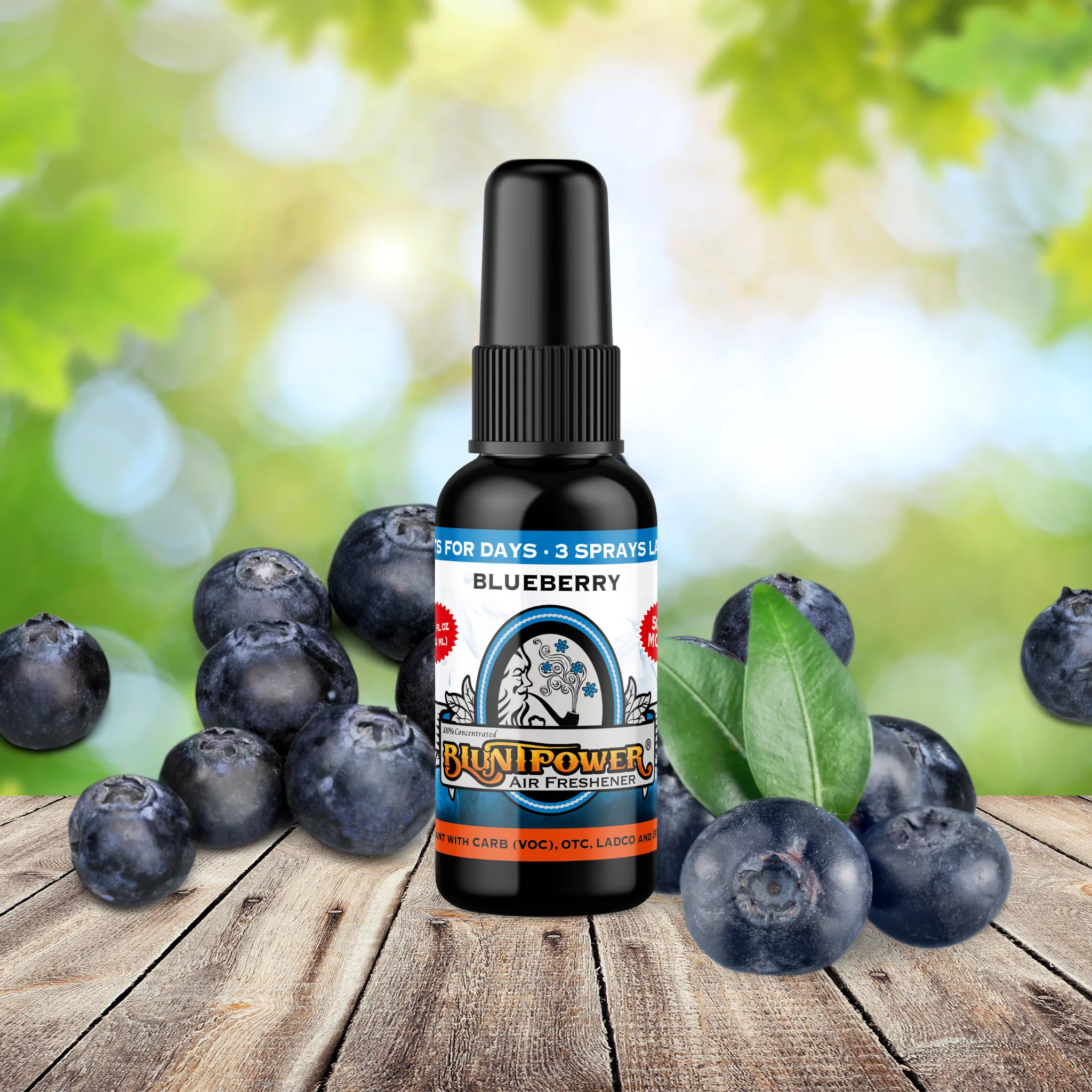Blueberry Air Freshener Spray