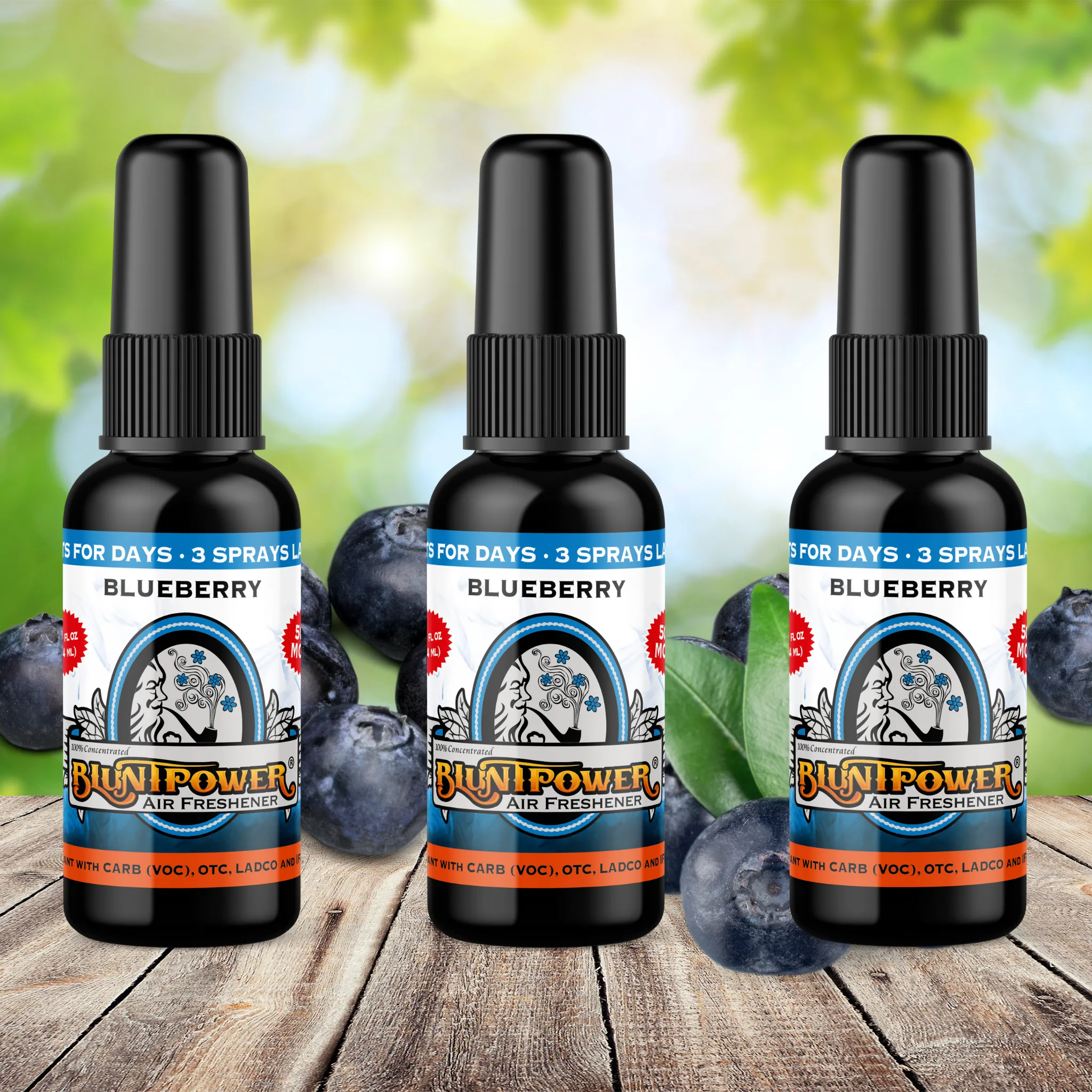 Blueberry Air Freshener Spray