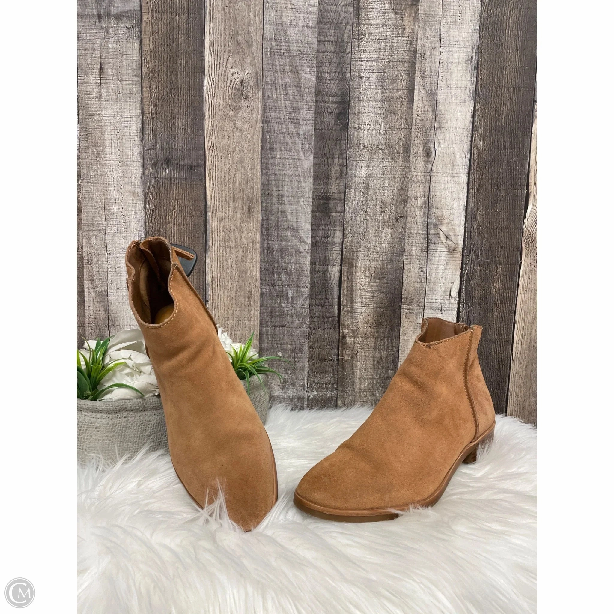 Boots Ankle Heels By Dolce Vita In Tan, Size: 11 Modern Lines
