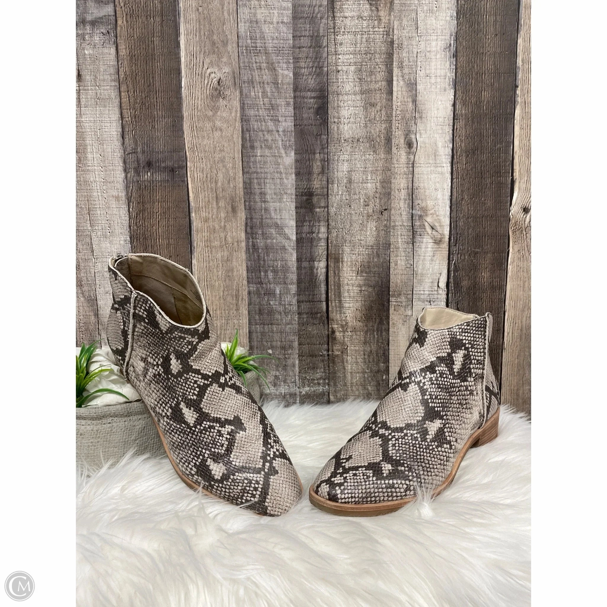 Durable Shell Stylish Explorer Comfortable Wear Boots Ankle Heels By Dolce Vita In Snakeskin Print, Size: 11