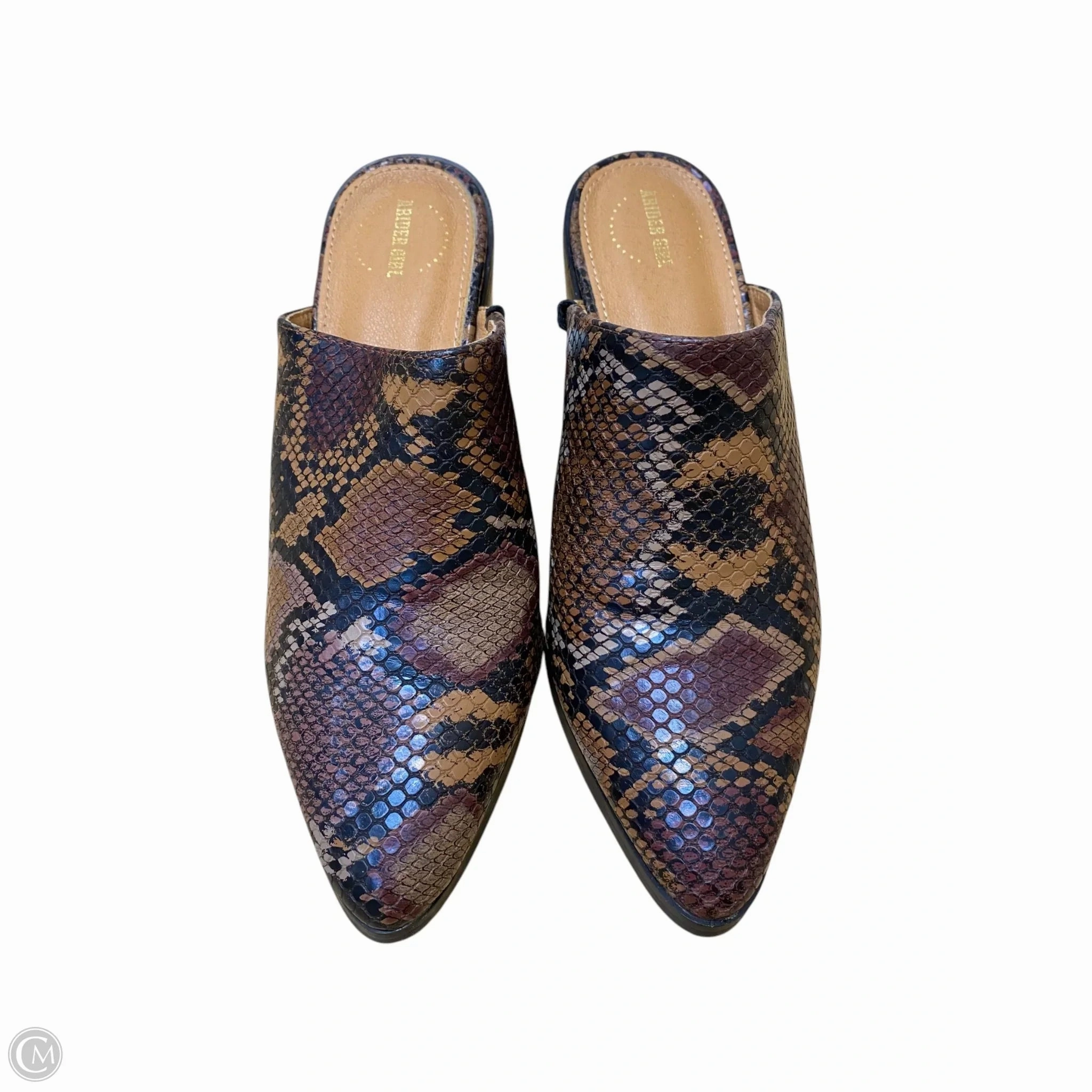 Shoes Heels Block By Clothes Mentor In Snakeskin Print, Size: 5.5 Autumn footwear Luxury Office Shoes