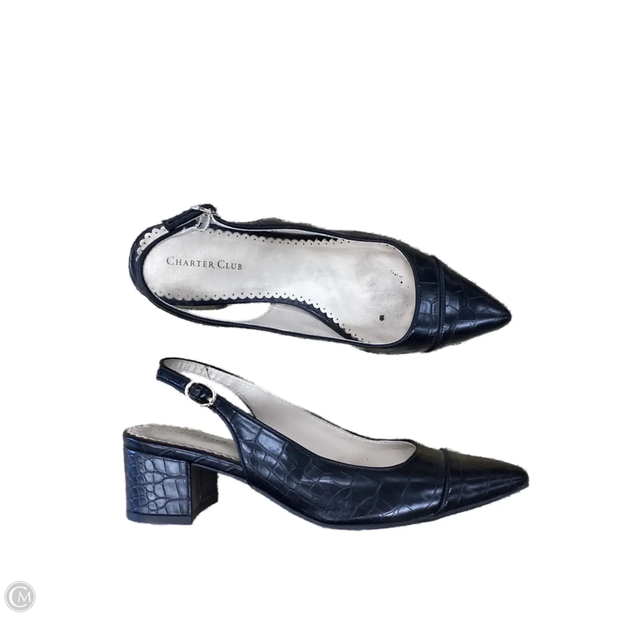 Vintage Vibe Nude Pumps for Weddings Shoes Heels Block By Charter Club In Black, Size: 8.5