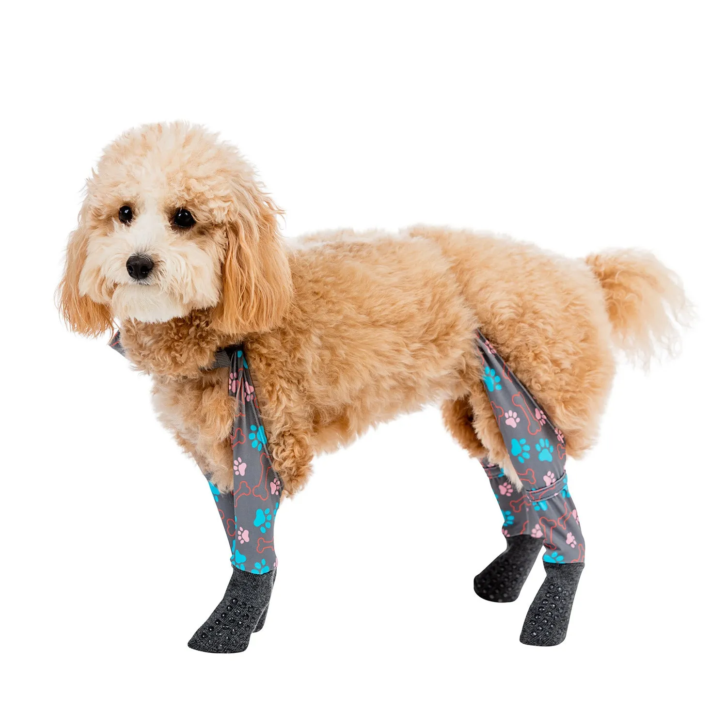 Indoor Grippy Sock Leggings