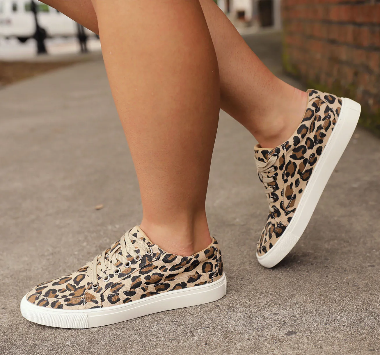 Kayce’s cheetah Corkys