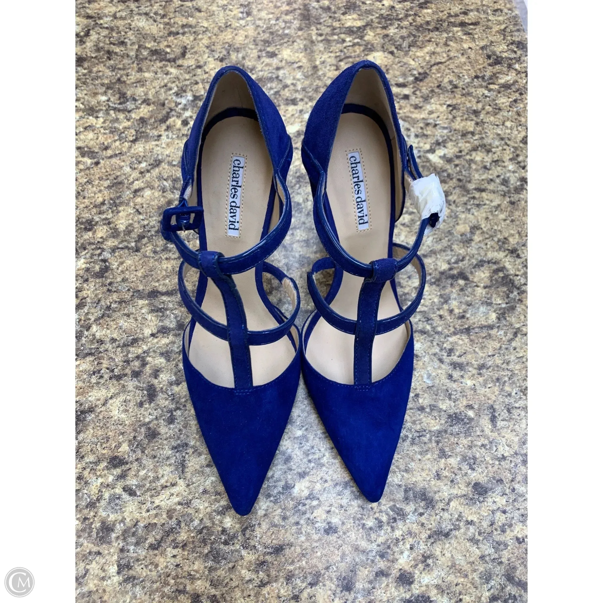 Shoes Heels Stiletto By Charles David In Blue, Size: 8 Stylish Mood Sexy Platform Heels