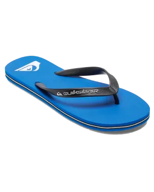 Molokai Core Flip Flops in Blue 1