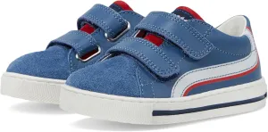 Naturino Boy's Falcotto Pomko Low Vl (Toddler) Sneaker