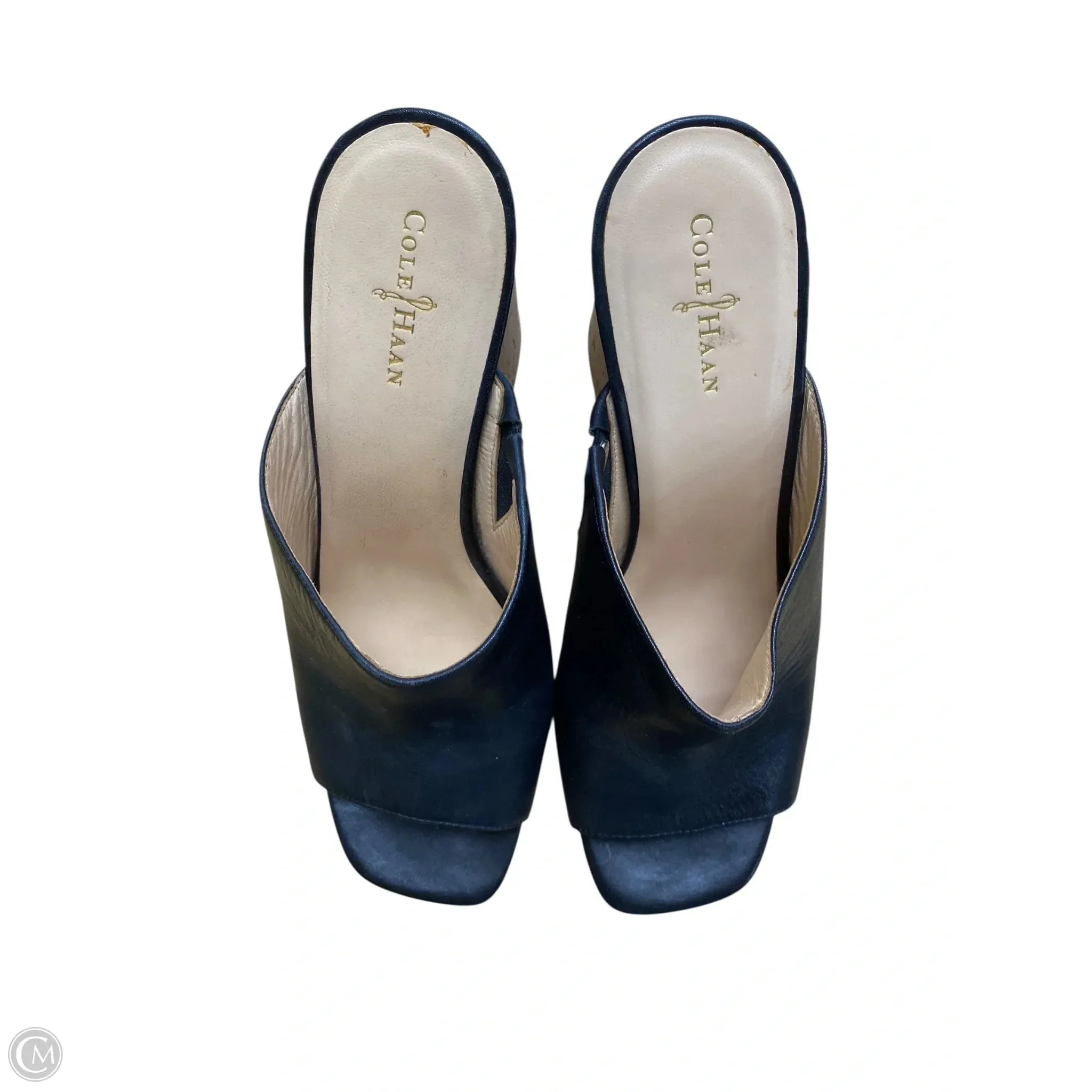 Wide Heel Pumps Shoes Heels Block By Cole-haan In Black, Size: 8