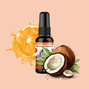 Orange Coconut Air Freshener Spray