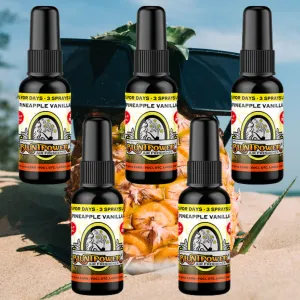 Pineapple Vanilla Air Freshener Bundle (5 Pack)