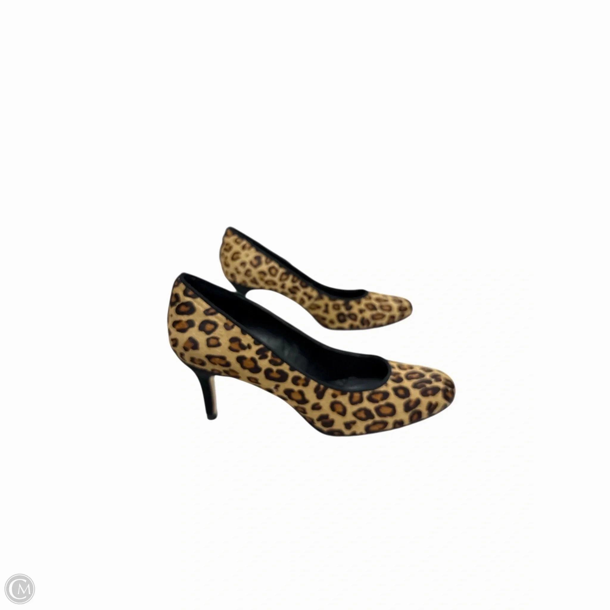 Shoes Heels Stiletto By Vaneli In Animal Print, Size: 8.5 Urban Style