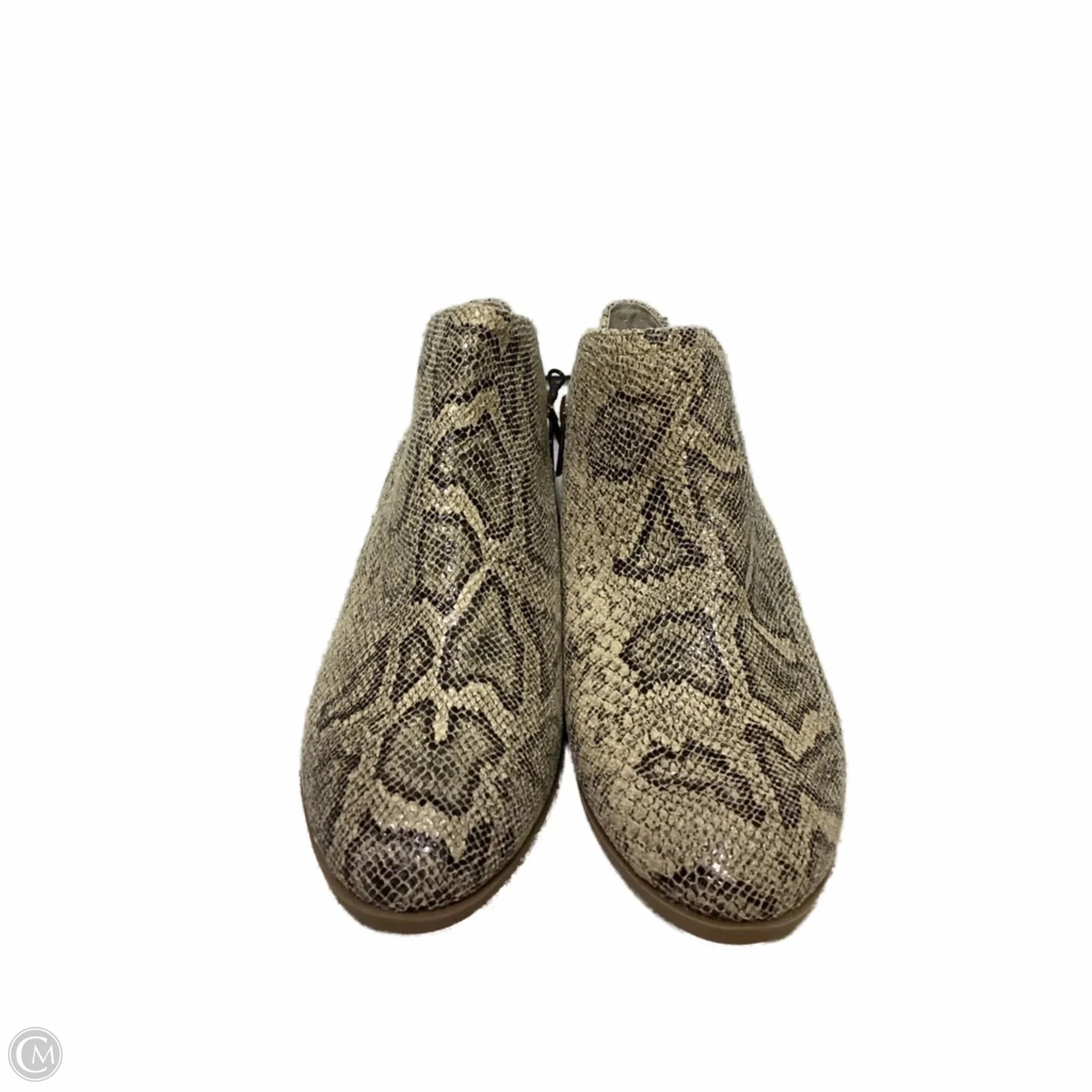 Boots Ankle Heels By Wonderly In Snakeskin Print, Size: 10 Clean Cut