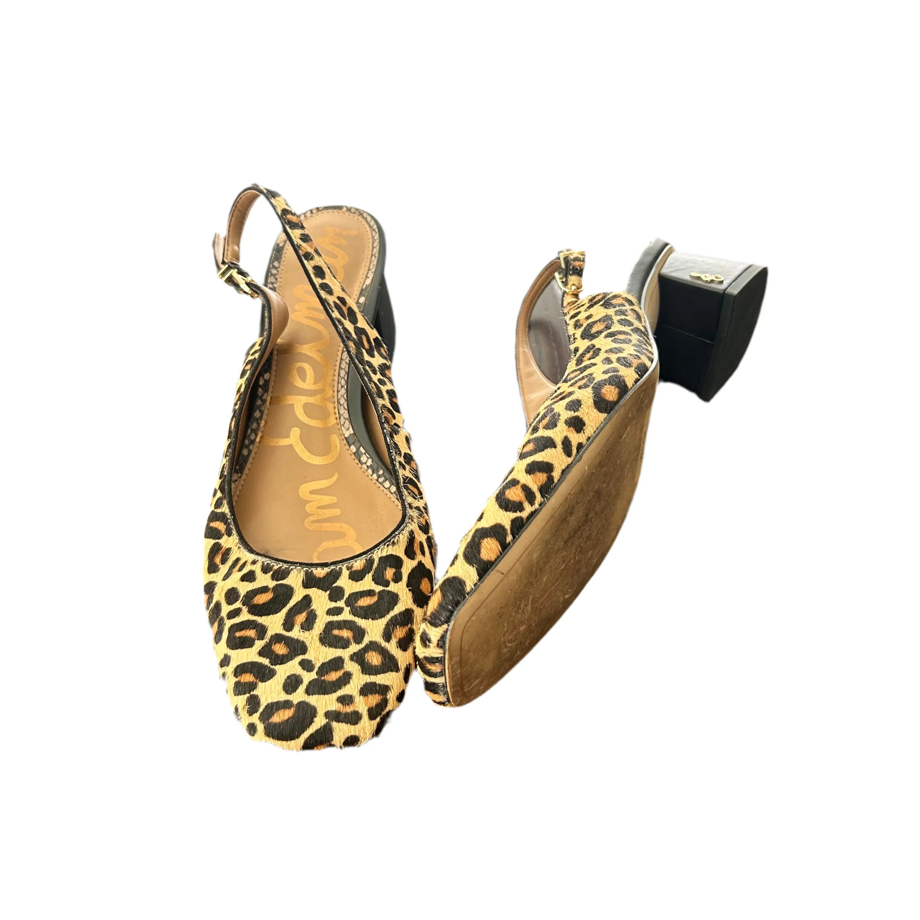 Shoes Heels Block By Sam Edelman In Animal Print, Size: 9 Boho Chic Heels High Quality