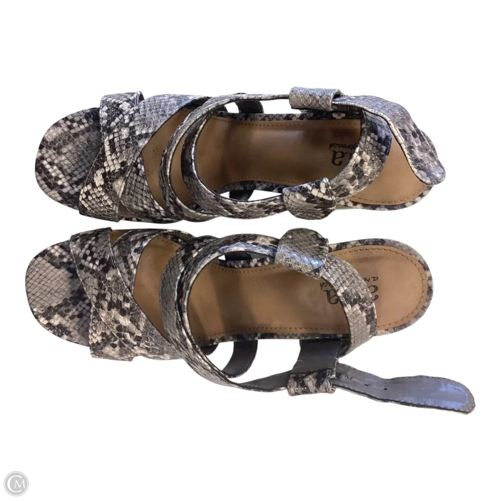 Shoes Heels Block By Ana In Snakeskin Print, Size: 8 Lightweight Upper Luxury Pumps for Weddings