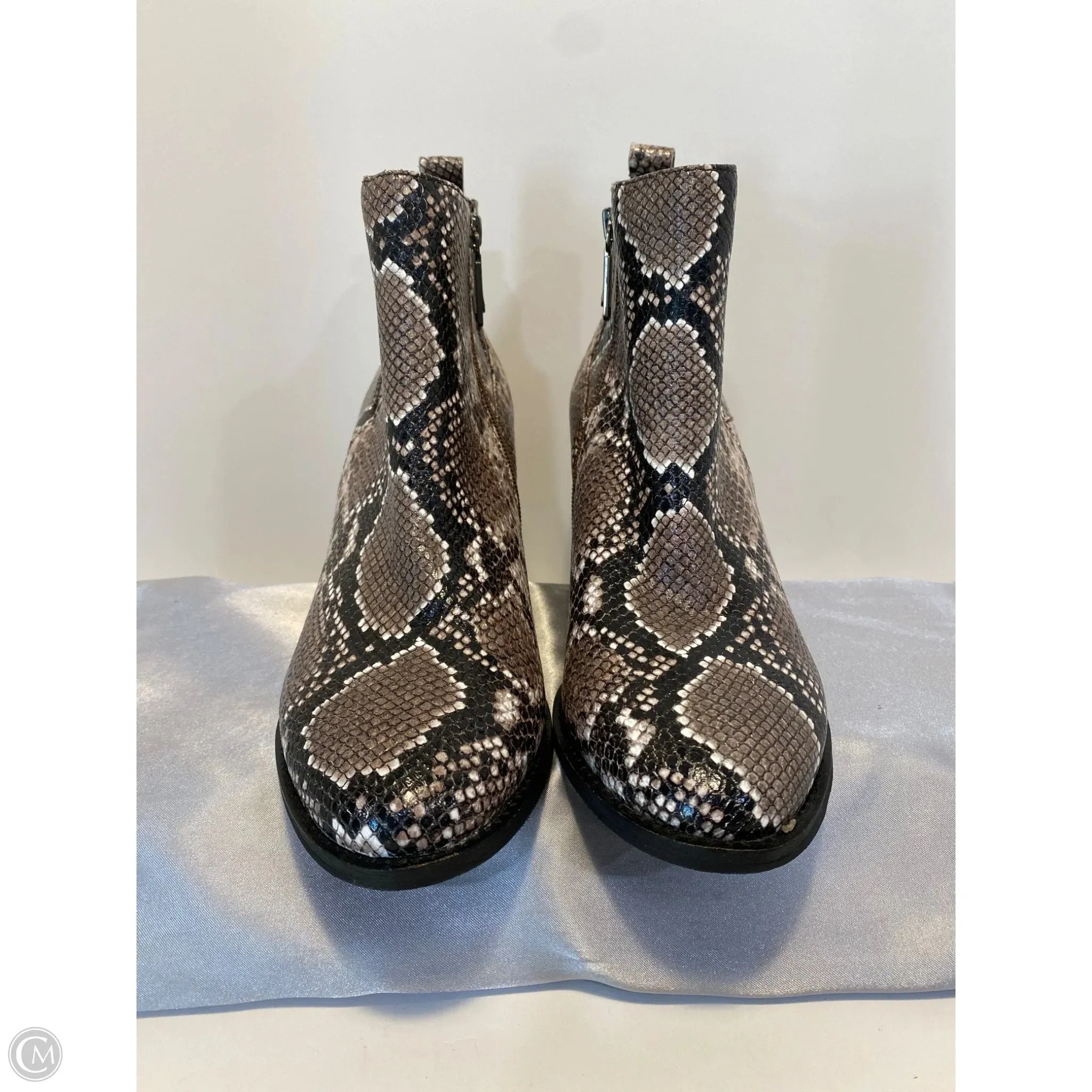 Shoes Heels Block By Blondo In Snakeskin Print, Size: 11 Power Outfit