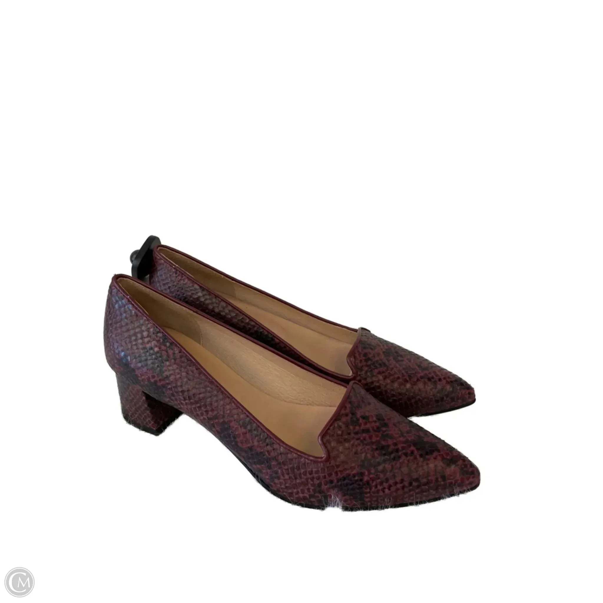 Glam Touch Shoes Heels Block By french sole fsny In Snakeskin Print, Size: 7