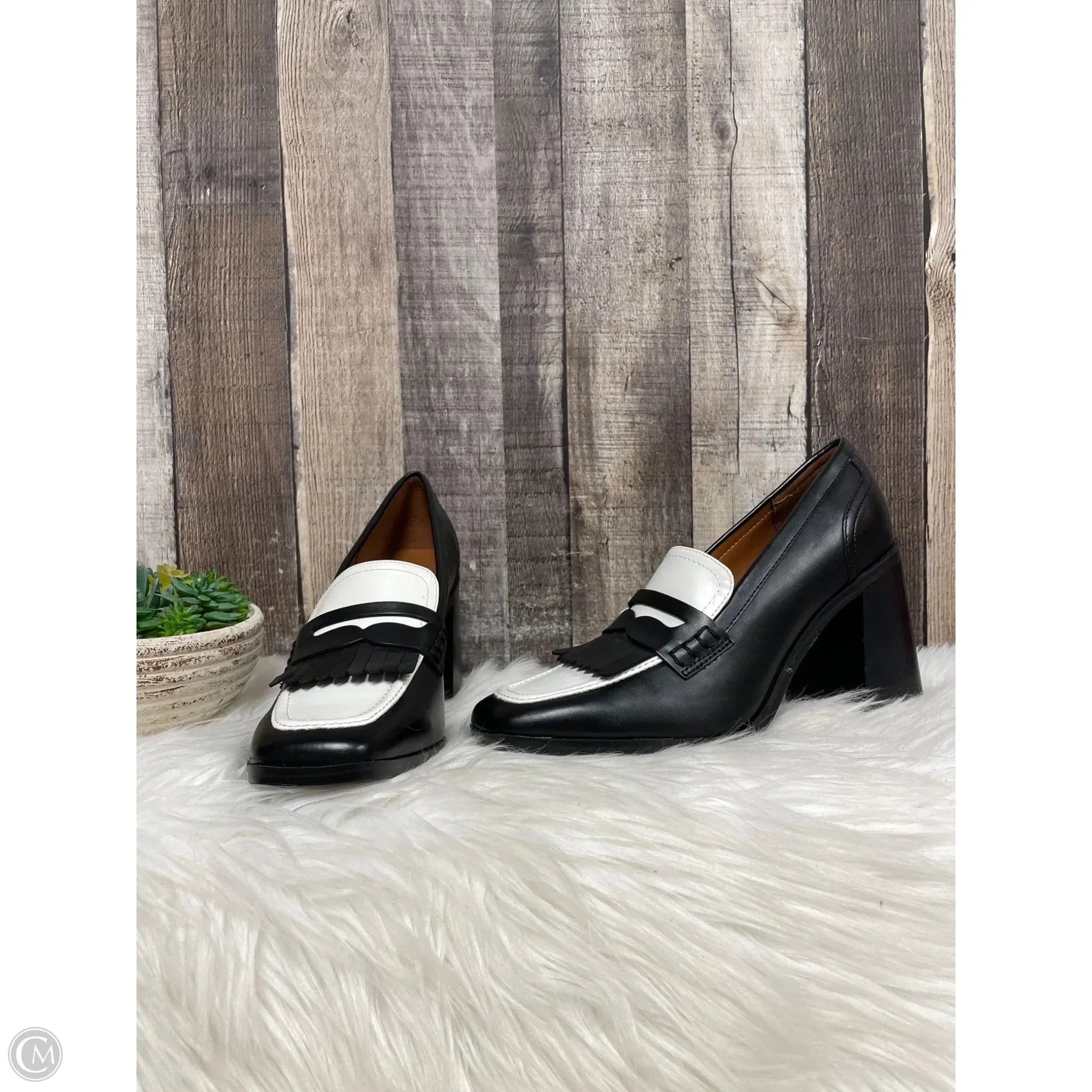 Boho Style Heels Power Piece Shoes Heels Block By Marc Fisher In Black & White, Size: 7