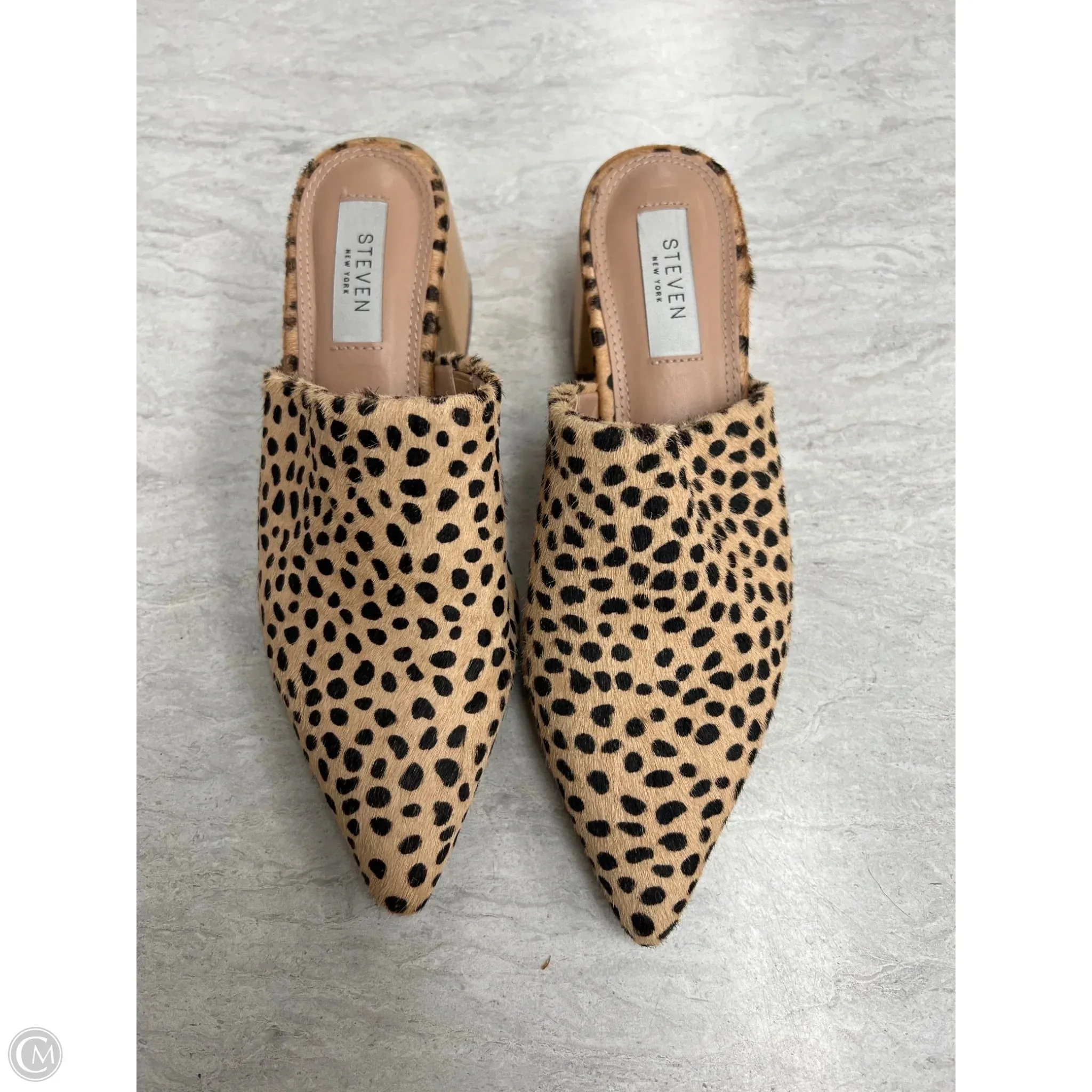 Statement Heels Shoes Heels Block By Steve Madden In Animal Print, Size: 7