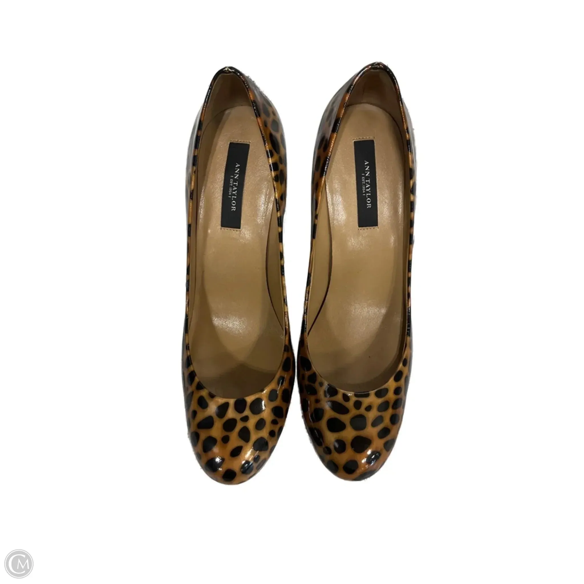 Classic Booties Comfortable Foot Feel Shoes Heels Stiletto By Ann Taylor In Animal Print, Size: 7.5