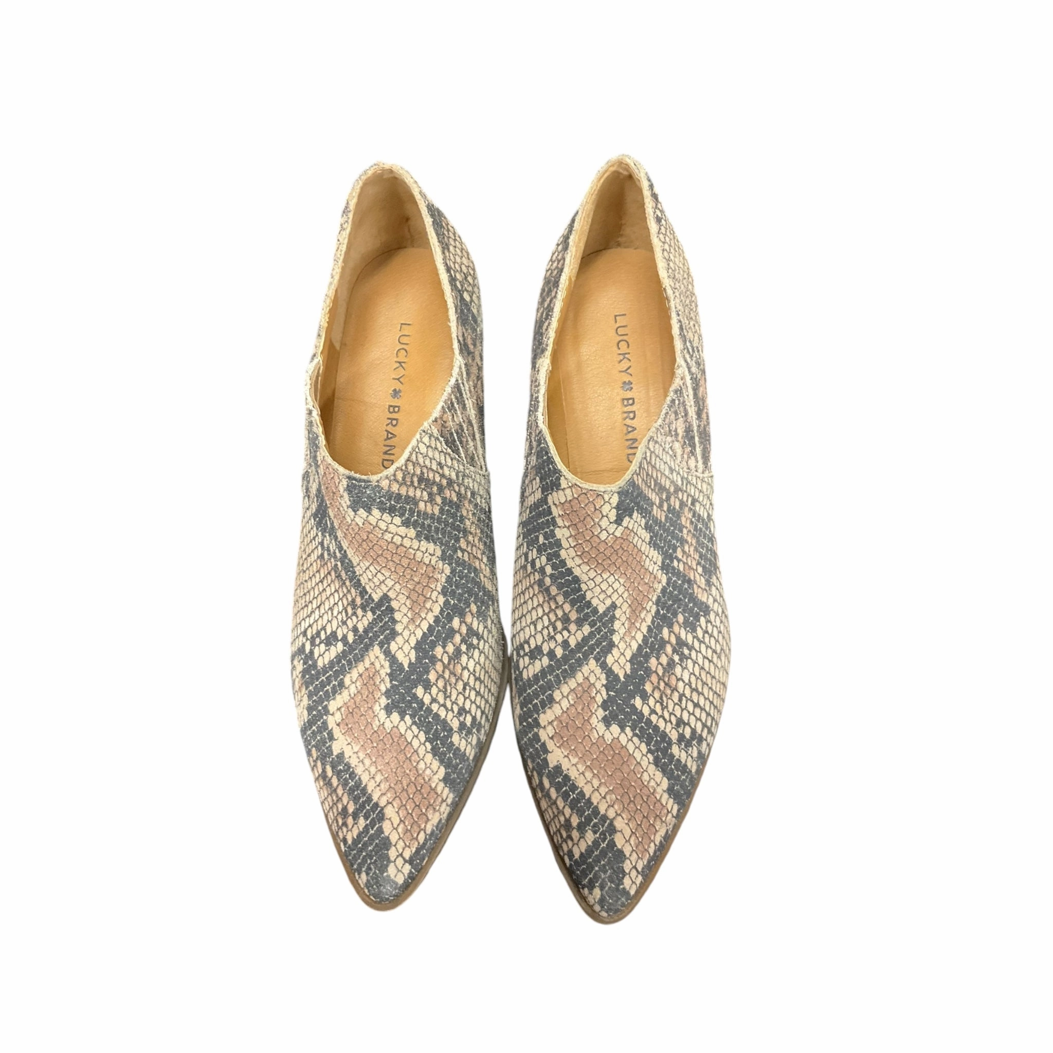 Shoes Heels Block By Lucky Brand In Snakeskin Print, Size: 8 Romantic Heels Fashionable Shoes