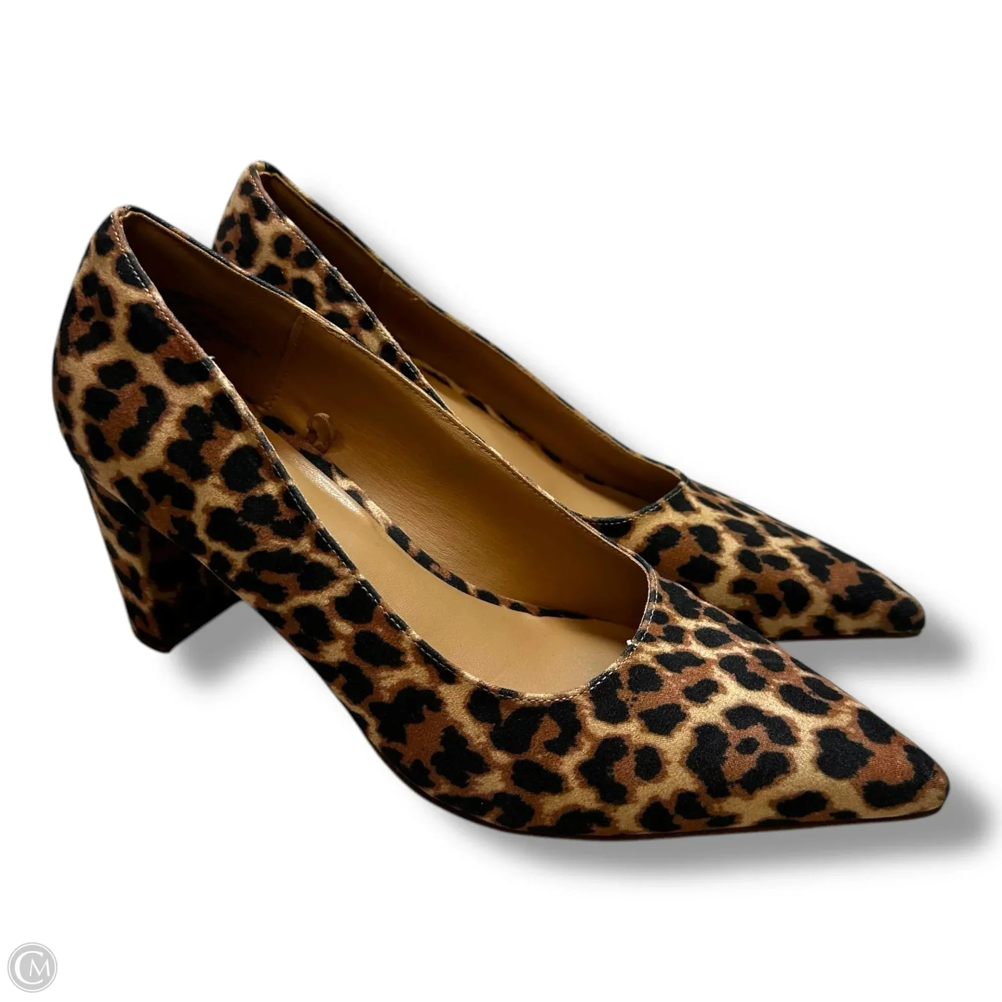 Fashion Heels Shoes Heels Block By Lane Bryant In Animal Print, Size: 9